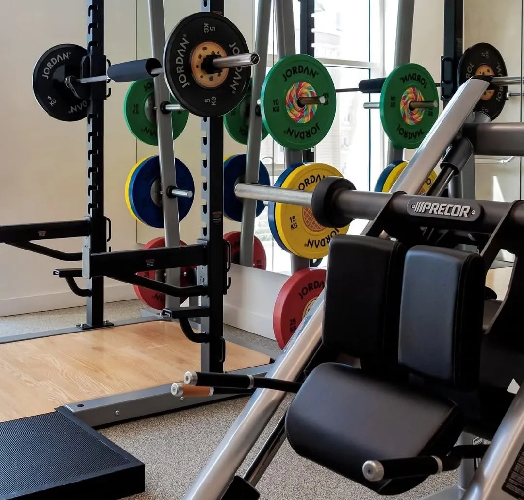 Half racks loaded with Jordan colour plates beside a Precor machine